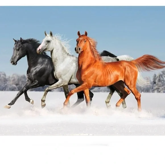 Photography background - Picture 4 of 4